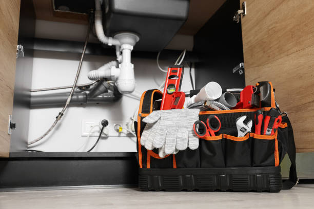 Best Clogged Drain Plumber  in Lone Star, TX
